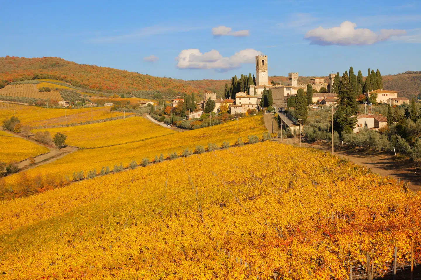 Når du deltager i dagens quiz, er du samtidig med i lodtrækningen om en præmie.