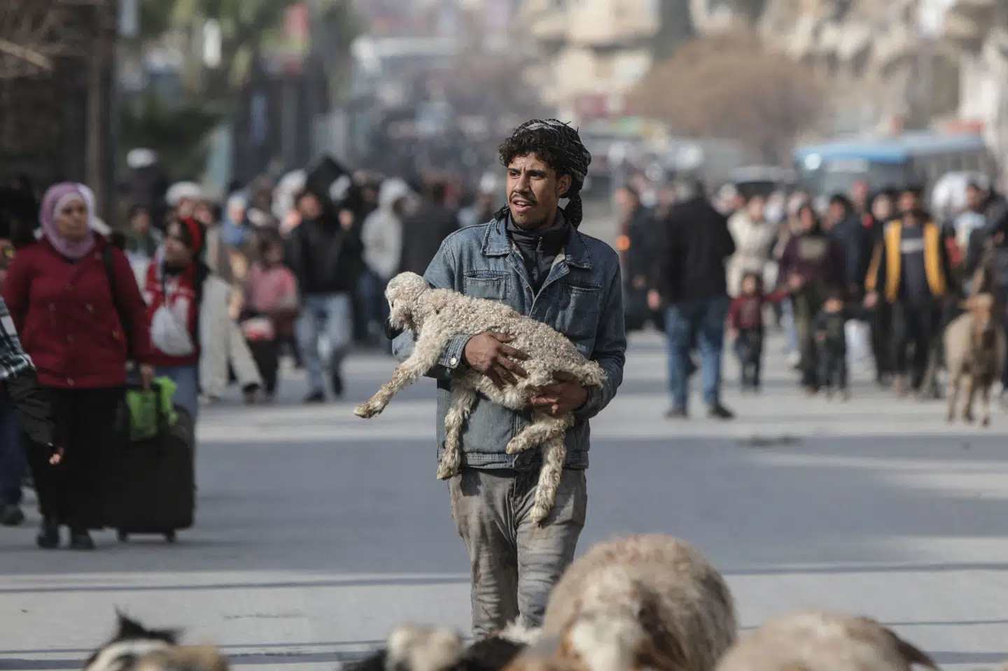 Onsdag tog en mand et lam favnen, inden han flygtede fra det kurdiske kvarter Ashrafieh i Aleppo.