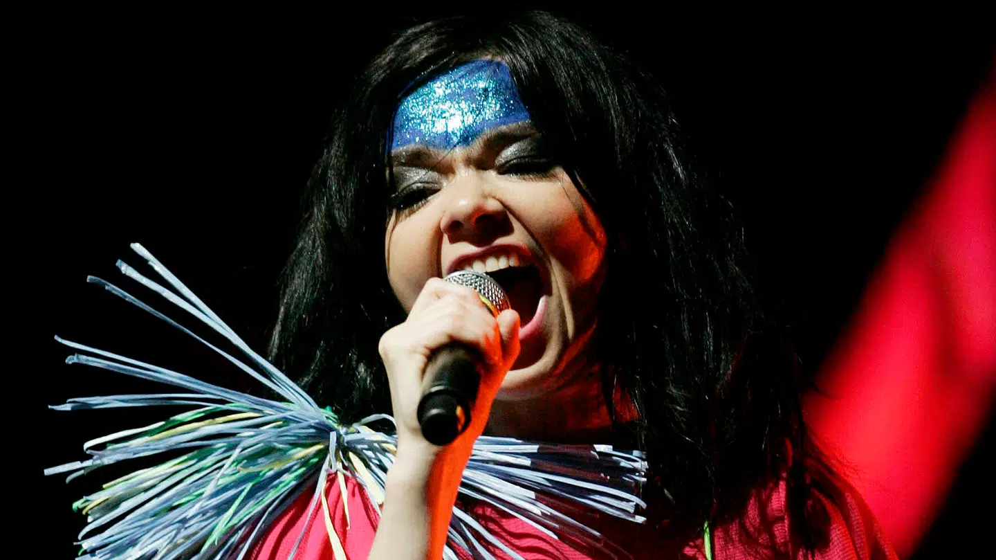 Det er ikke længere muligt at købe Björk-vinyl hos RecordPusher.