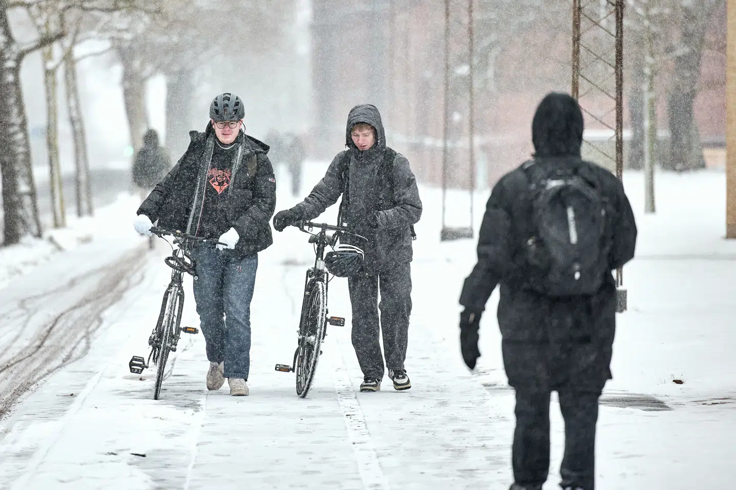 De seneste dage er der faldet store mængder sne i Danmark. (Arkivfoto).