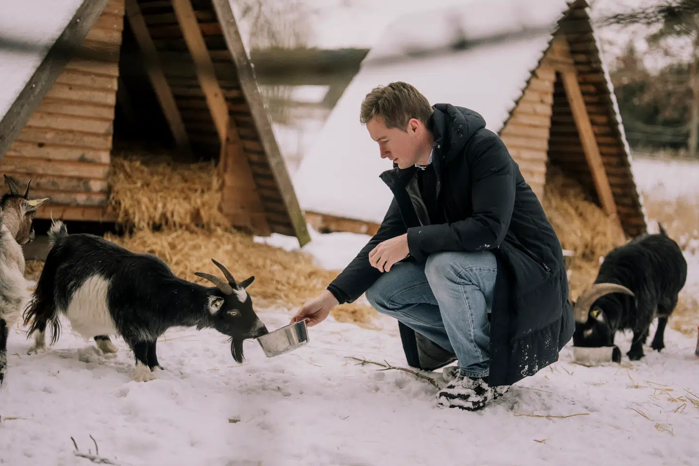 På Jacob Marks bondegård i Regstrup uden for Holbæk er de afrikanske dværggeder Idon og Helga kommet til, efter han forlod politik. Det er mange andre projekter også. Men han har også erkendt, at gårdlivet alene ikke er løsningen for ham.