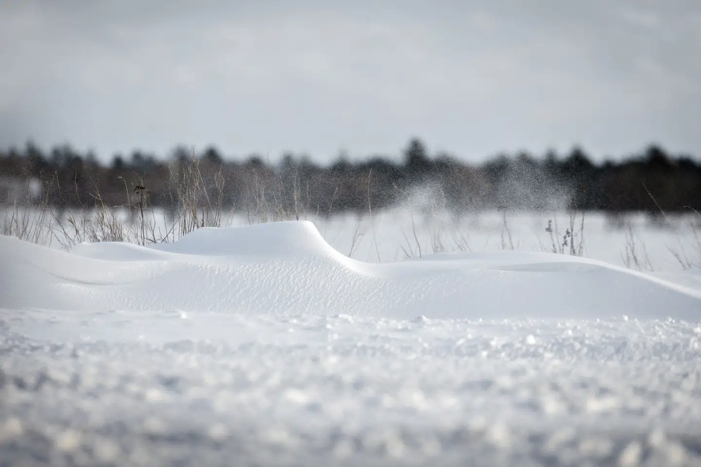 DMI varsler snefygning på Bornholm fra tidligt lørdag morgen og lidt over et døgn frem. (Arkivfoto).