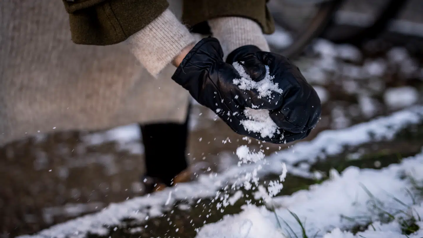 en uskyldig sneboldkamp har fået alvorlige konsekvenser i Horsens.