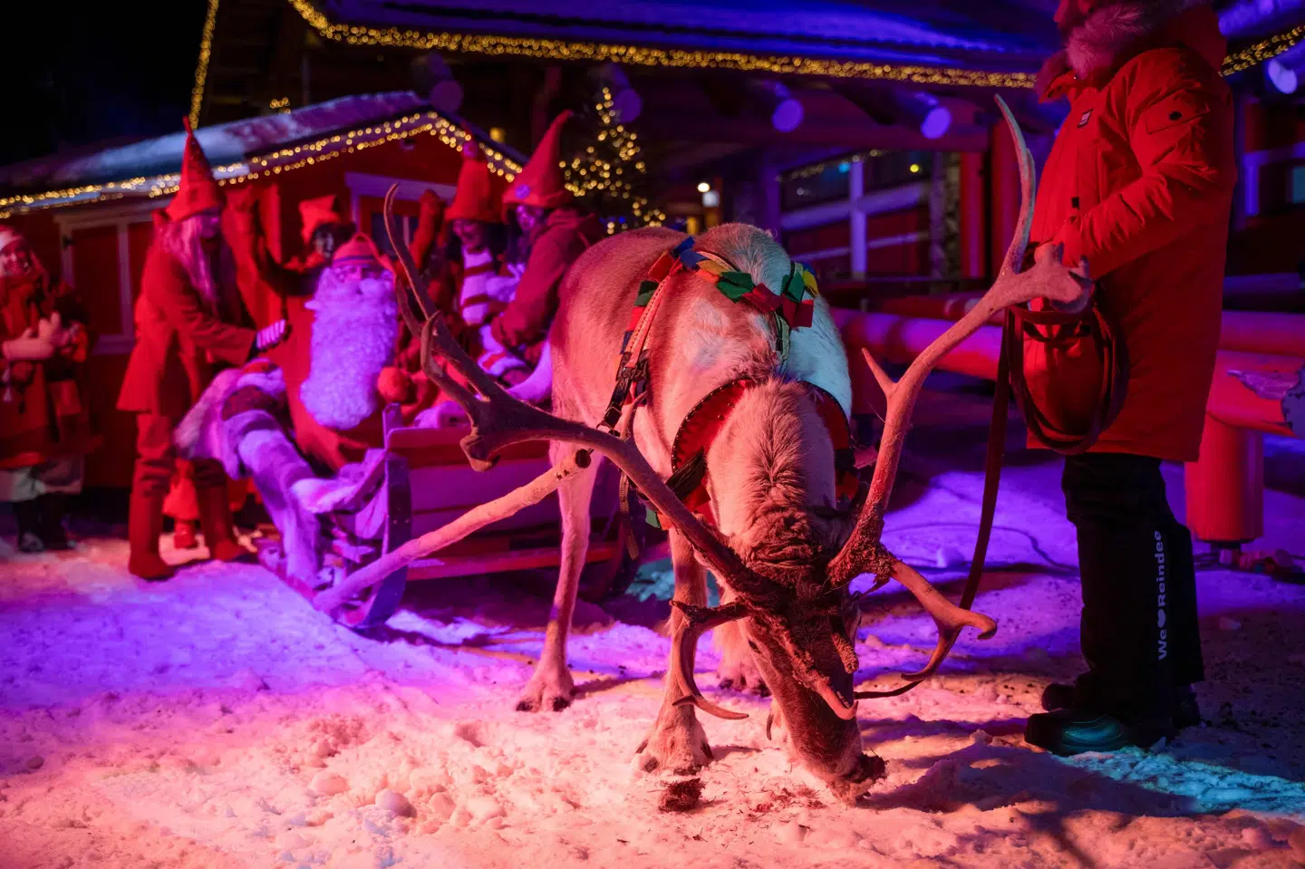 Af mange finnere betragtes Rovaniemi i Finlands Lapland som julemandens hjem, og i december var der julearrangement med rensdyr i byen. En kuldebølge har medført, at en enkelt afgang fra Rovaniemi søndag var aflyst, mens alle afgange fra lufthavnen i Kittilä, som ligger længere nordpå, var aflyst. (Arkivfoto).