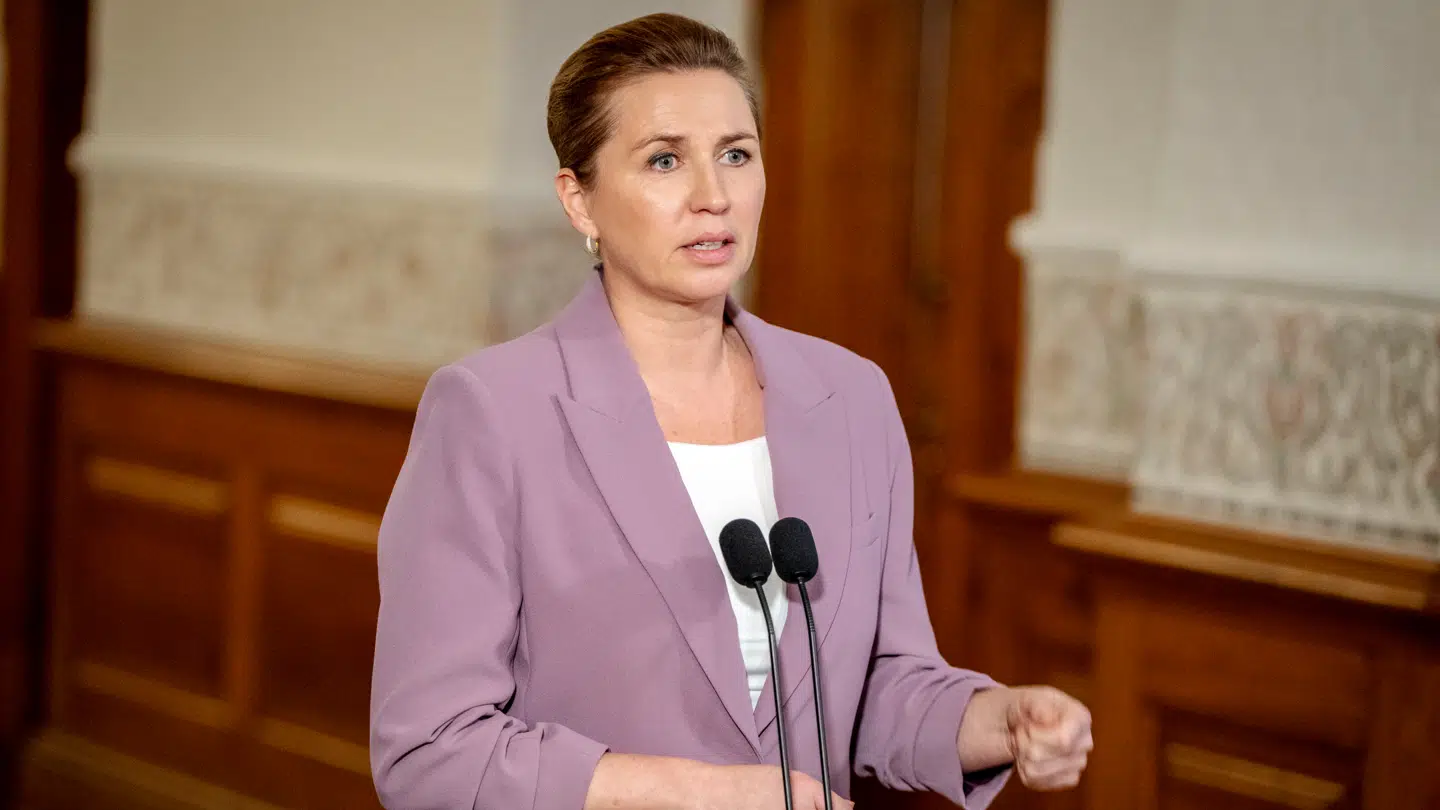 Der er en overrepræsentation af indvandrere eller efterkommere i to af de tre grupper, statsminister Mette Frederiksen (S) kom ind på i sin nytårstale.