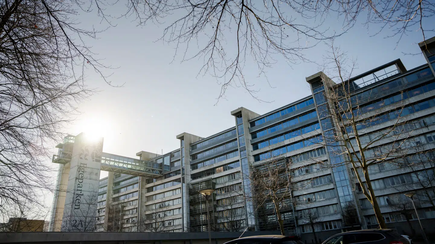 Her ses billede af Vollsmose, der er en ghetto i Odense med et stort antal beboere med indvandrerbaggrund.