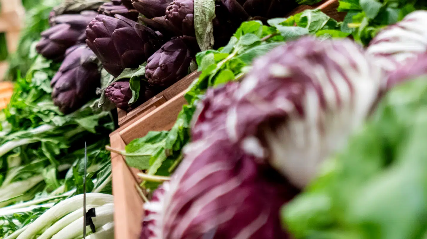 Studie viser, at børn, der spiser plantebaseret, har bedre hjertekarsundhed, men den plantebaserede kost kan dog også have udfordringer.