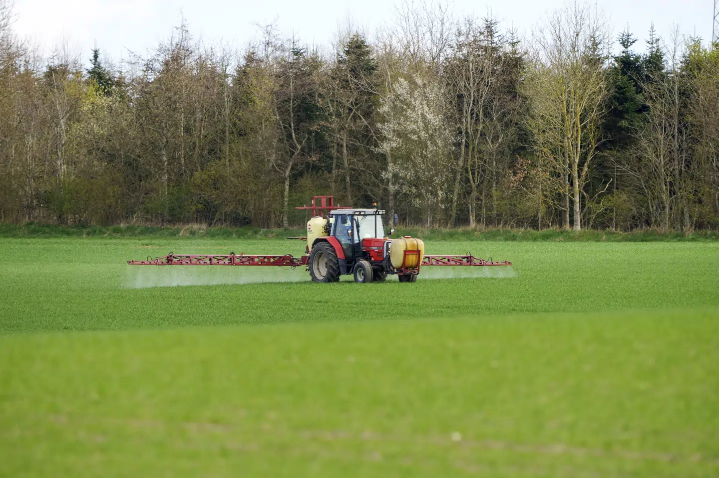 Sprøjterester hovedsageligt fra landbruget er fundet i over 55 procent af de undersøgte boringer i 2024, viser en analyse fra Miljøministeriet. (Arkivfoto).
