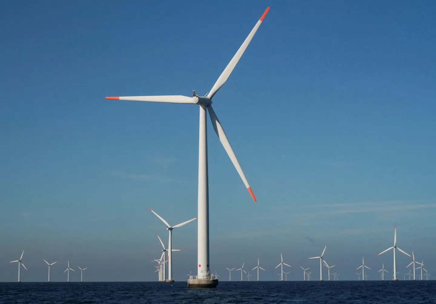 FILE PHOTO: A view of turbines at Orsted's offshore wind farm near Nysted, Denmark, September 4, 2023. REUTERS/Tom Little/File Photo