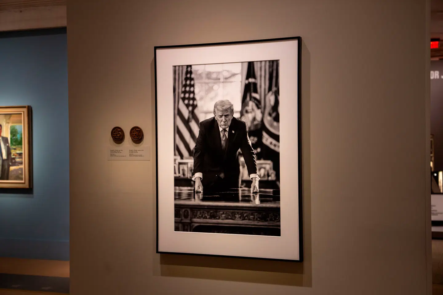 Det nye billede af Trump er taget af Daniel Torok, en fotograf tilknyttet Det Hvide Hus.