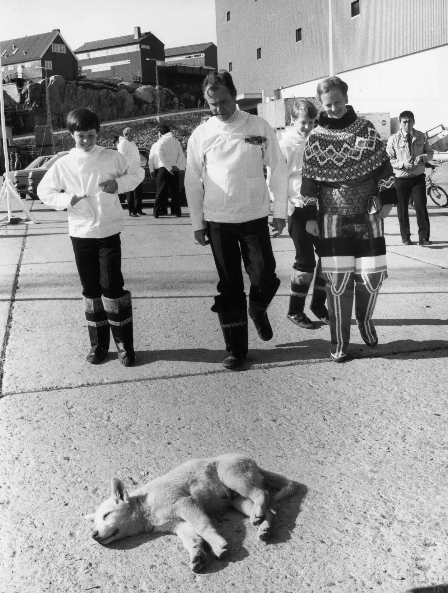 Kong Frederik besøgte Grønland første gang som 14-årig, hvor han og hans far prins Henrik især forelskede sig i en lille slædehundehvalp, som fik navnet Nanok.
