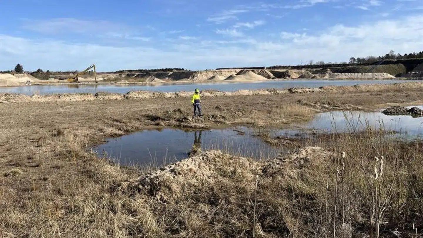 Her ses en af de grusgrave, hvor forskellige edderkoppearter holder til.