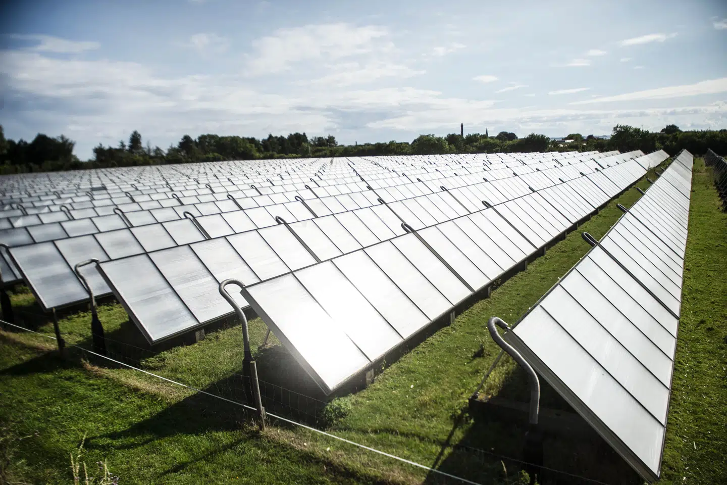 Det går hurtigere med at udbygge kapaciteten af solceller på marker end på tage. Dansk Solcelleforening glæder sig over samlet fremgang. (Arkivfoto).