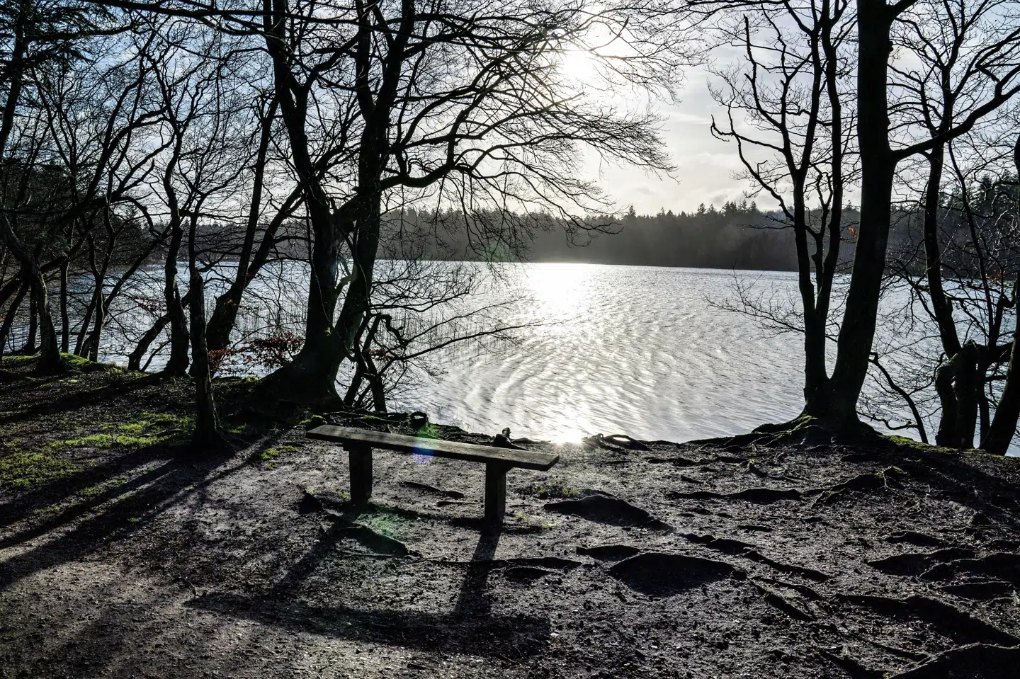 Alle bør søndag få solen at se - men det bliver ikke varmt, fastslår meteorolog Henning Gisselø fredag. (Arkivfoto).