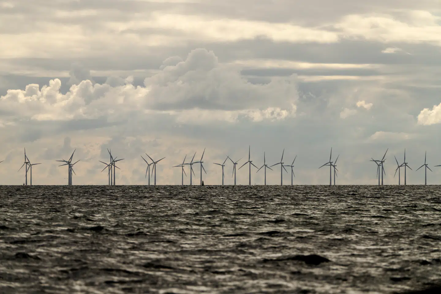 Vindmøller i kystnært farvand har aldrig, billedligt talt, været mere i modvind. Nu sagsøger endnu en gigant Donald Trump-administrationen.