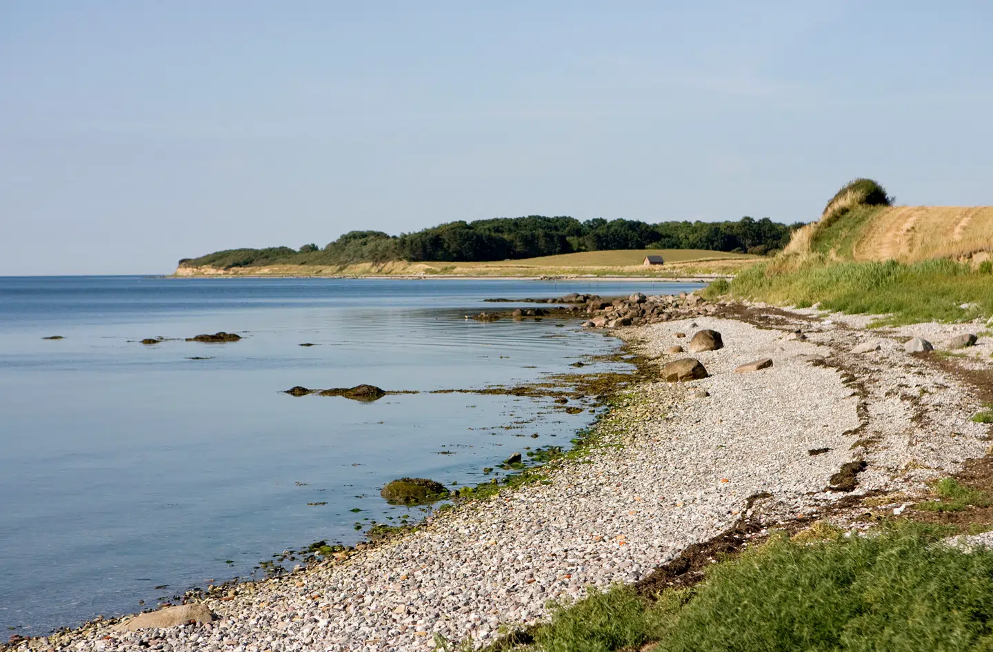 Gustav Foss nye roman er skrevet med laserskarpt og legende sprog – og så er bogen måske en af de mest originale og vanvittige af slagsen inden for dansk litteratur.