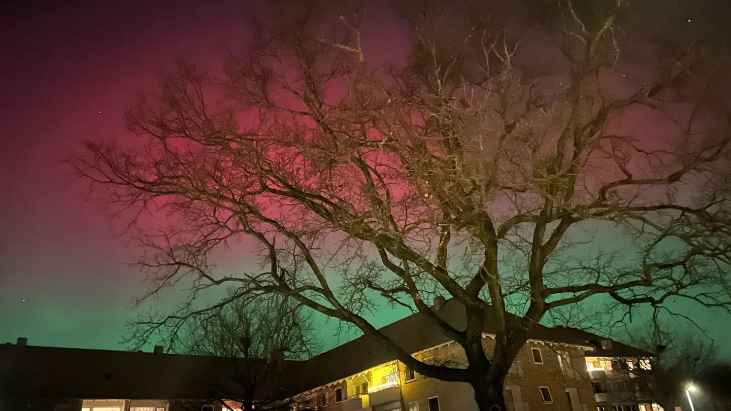 Nordlys over Lyngby omkring klokken 22.