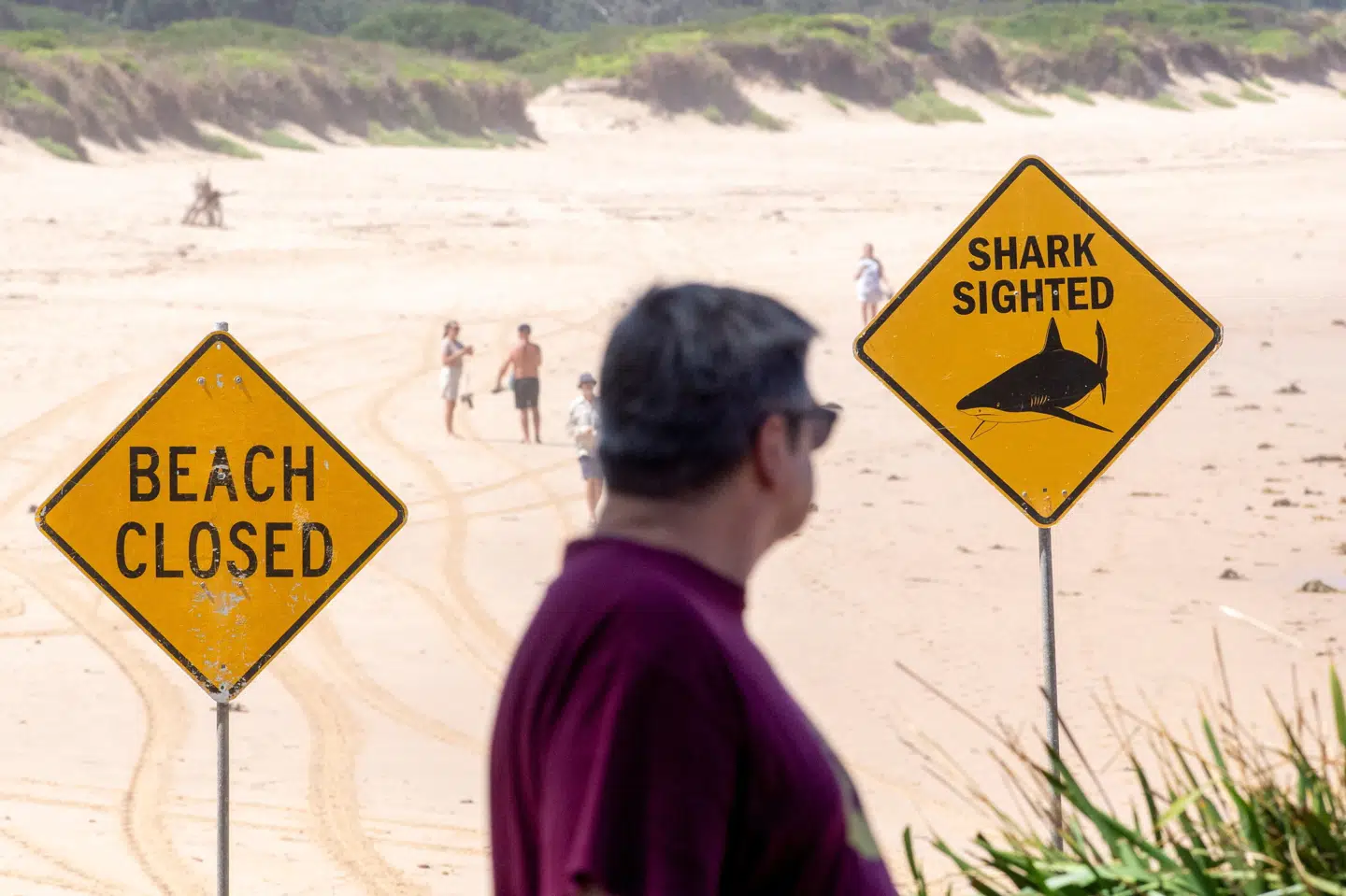 Flere strande i den nordlige del af Sydney er lukket for svømmere og surfere i kølvandet på flere alvorlige hajangreb. Her er det stranden ved Dee Why, hvor en 10-årig dreng blev angrebet mandag.