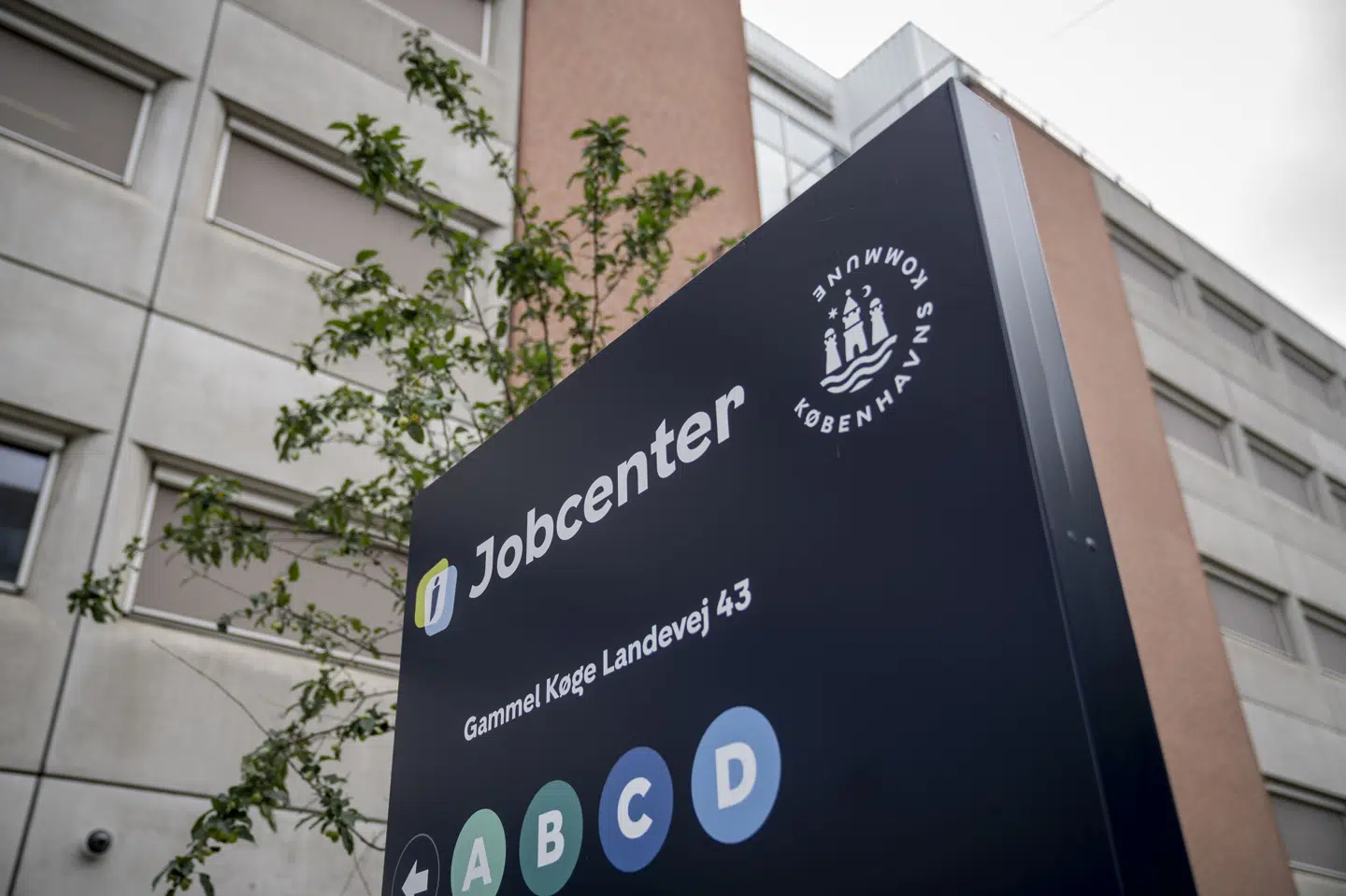 Antallet af ledige steg med 800 personer i december måned, viser tal fra Styrelsen fra Arbejdsmarked og Rekruttering. (Arkivfoto).