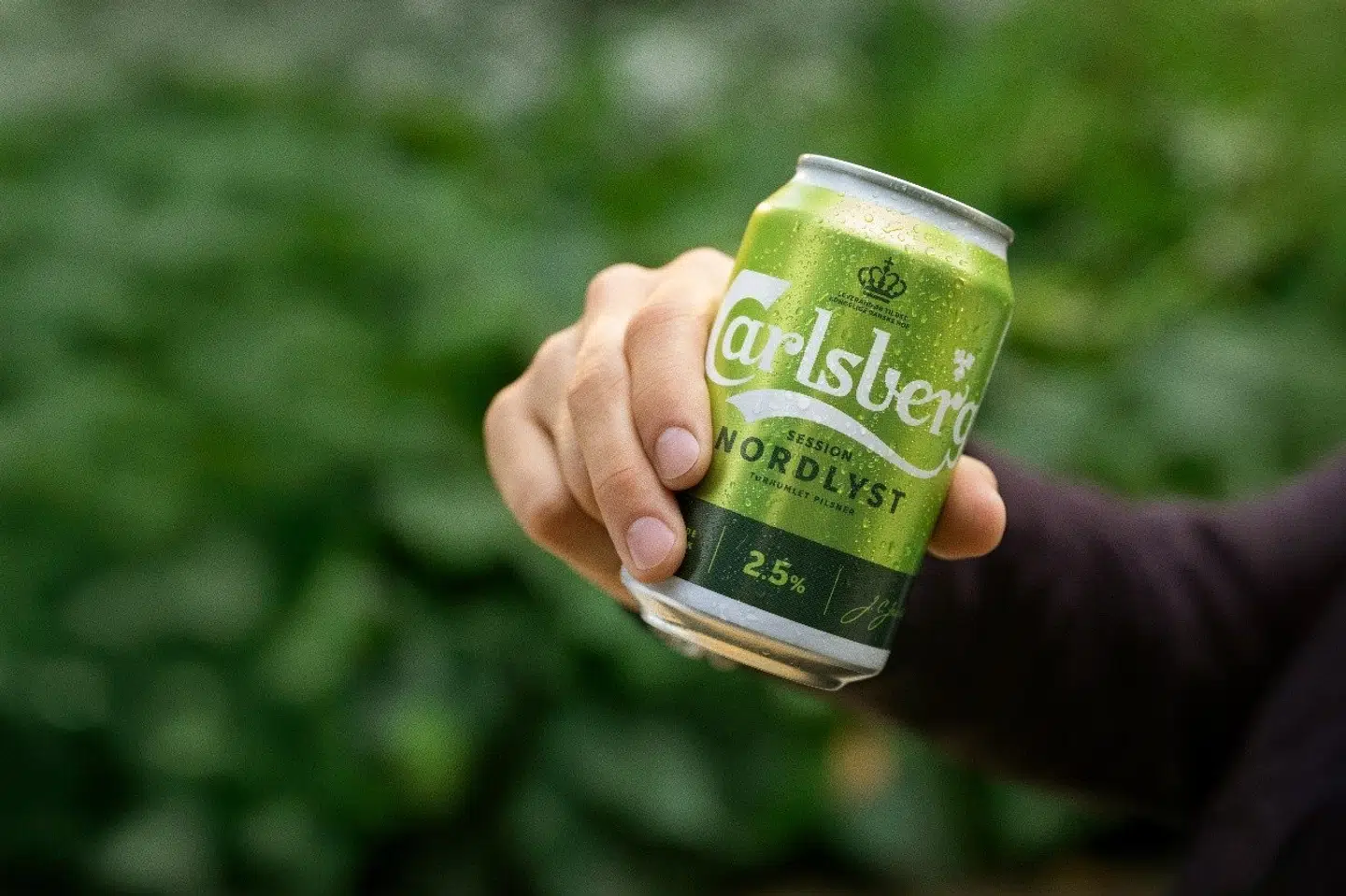 Carlsberg lancerer en ny øl med navnet Carlsberg Nordlyst, der indeholder 2,5 procent alkohol. (PR-foto)