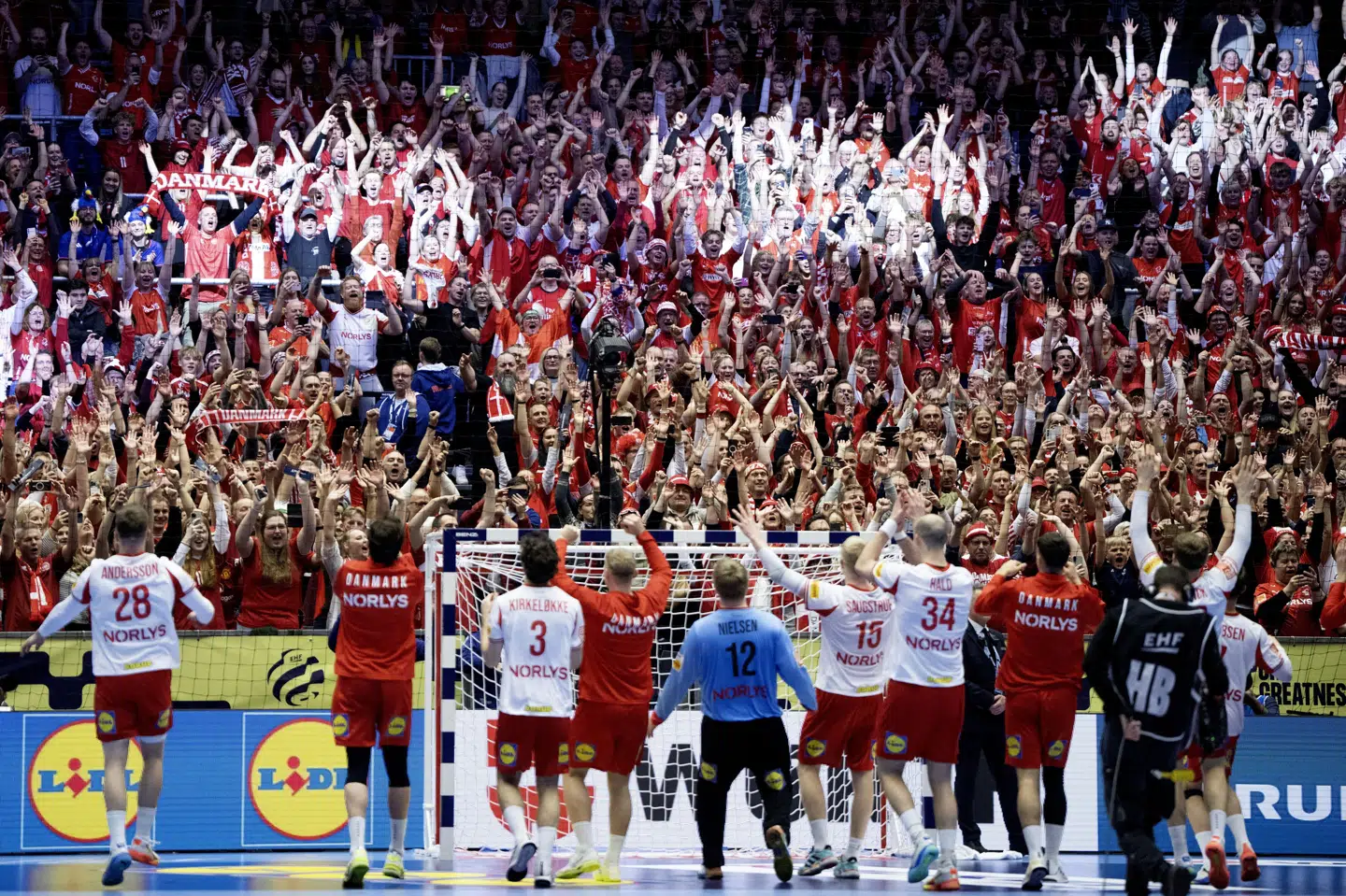 De danske spillere havde meget at takke publikum for efter den vigtige sejr over Frankrig.