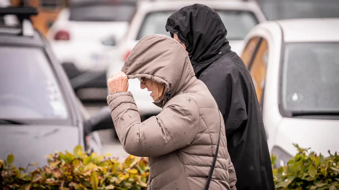Gråt i gråt, blæst og kulde lyder dagens vejrmenu på.