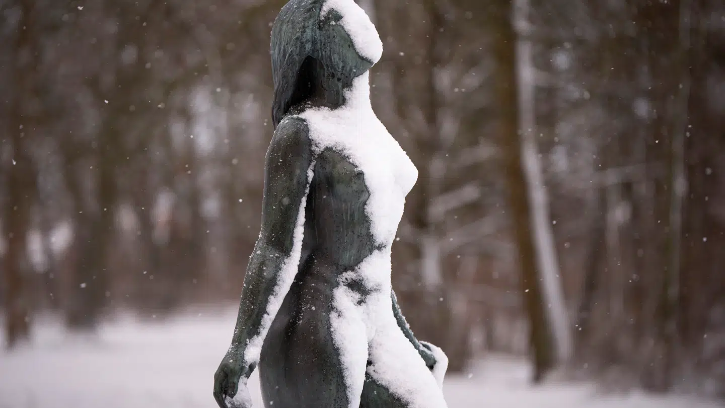 Der vil falde sne over hele landet i weekenden, forudser DMI.