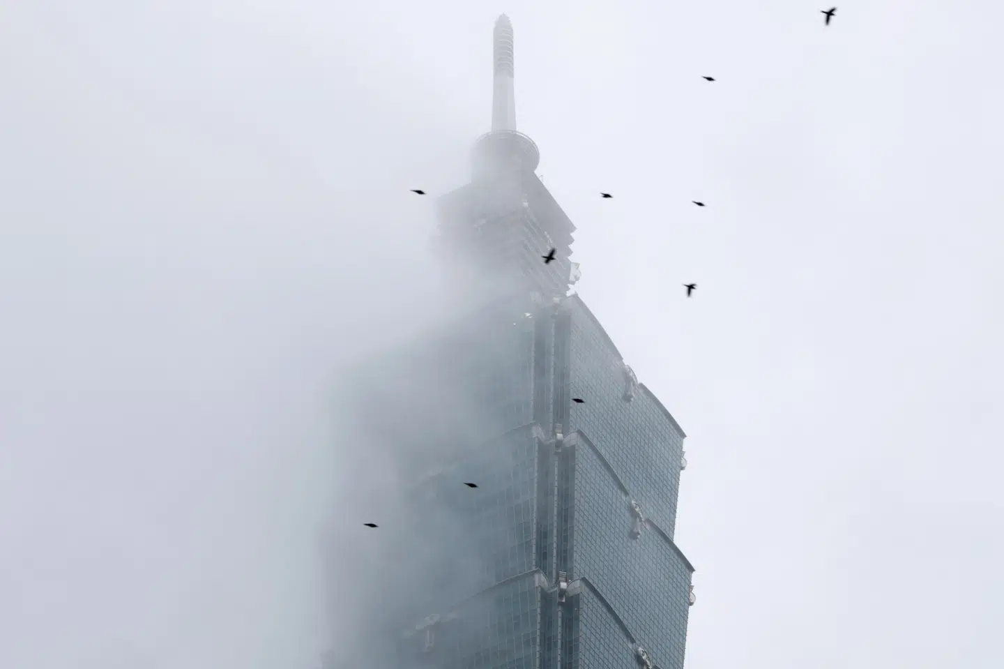 Skyskraberen Taipei 101 er med sine 508 meter er den højeste bygning i Taiwan. Vejret var dog ikke med friklatreren Alex Honnold, da han skulle bestige skyskraberen lørdag morgen dansk tid.