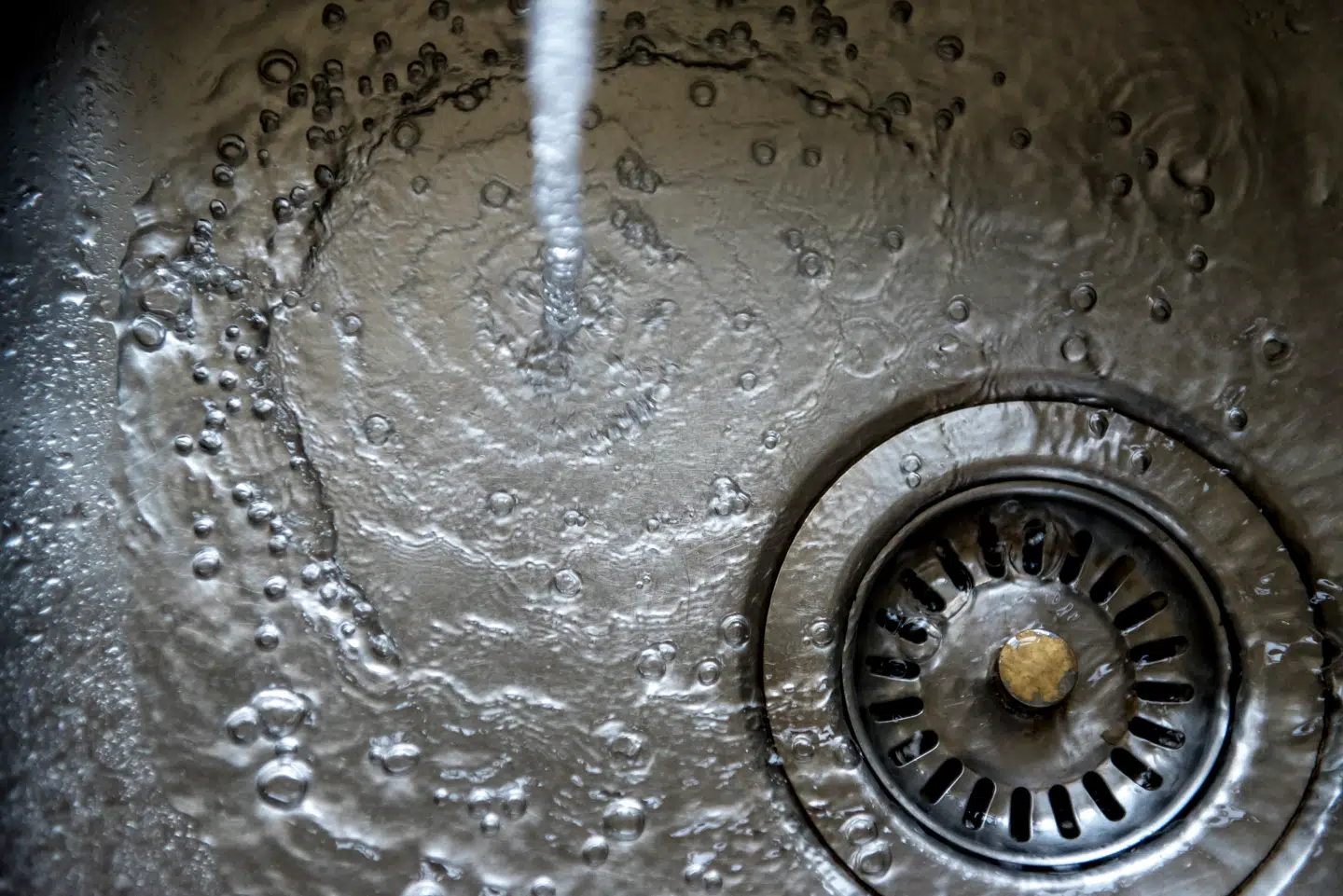 Vandhane fotograferet torsdag den 26. juli 2018