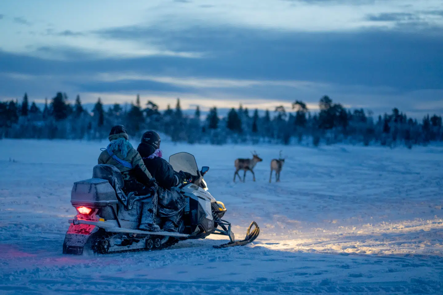 Prinsesse Ingrid-Alexandra blev ledsaget af en – forhåbentligt – kompetent snescooterfører fra familien Sara i Anárjohka nationalpark, hvor de blandt andet så til familiens rensdyr i området.