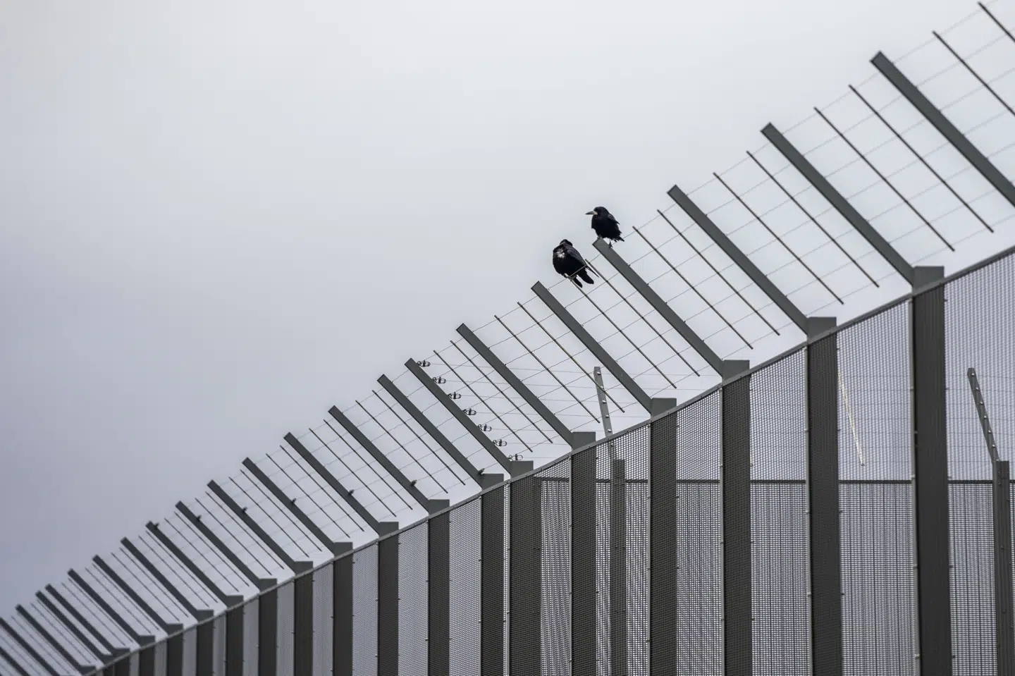 Enner Mark Fængsel i Horsens er et lukket fængsel med plads til 235 indsatte. Der sidder i Danmark omkring 4000 mennesker i fængsel eller arrest. (Arkivfoto).