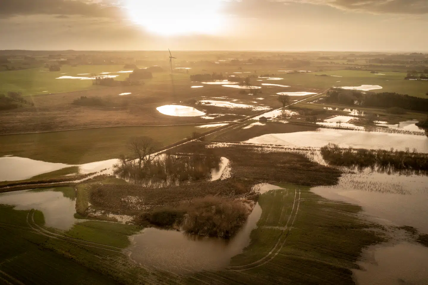 Dörte Hansens nye roman kan få en til at glemme, at der faktisk er tale om fiktion. »Til havs« er en påmindelse om, hvad litteraturen kan, når den nægter at forklare og lader tidevandet tale.