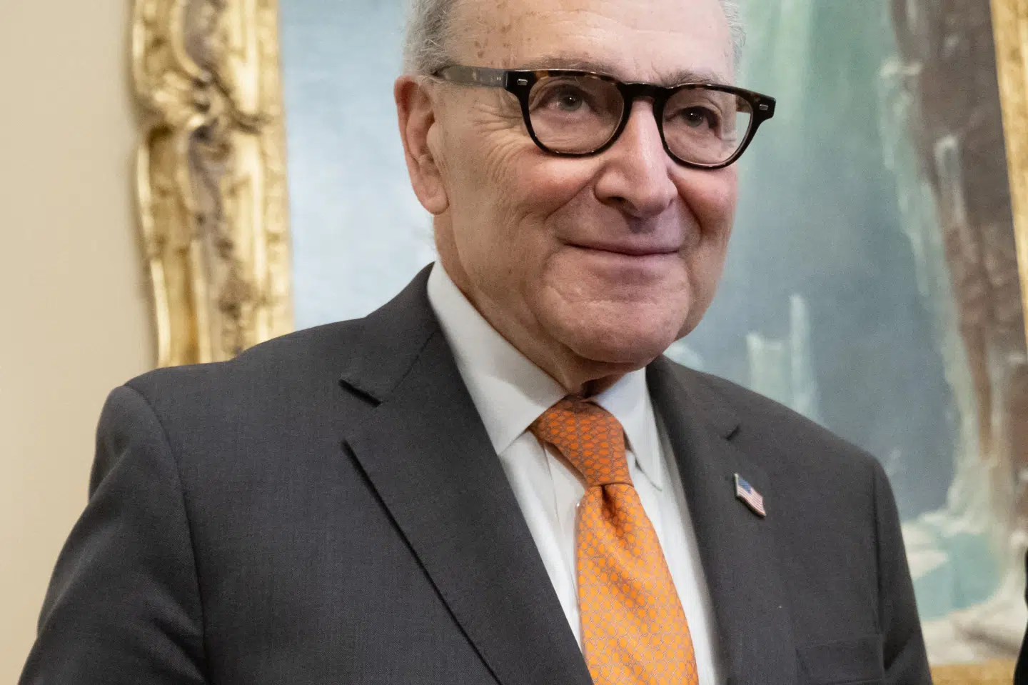 Den demokratiske minoritetsleder i Senatet, Chuck Schumer, og hans partifæller ønsker begrænsninger for immigrationsmyndigheden ICE, hvilket har præget forhandlingerne om en budgetpakke.