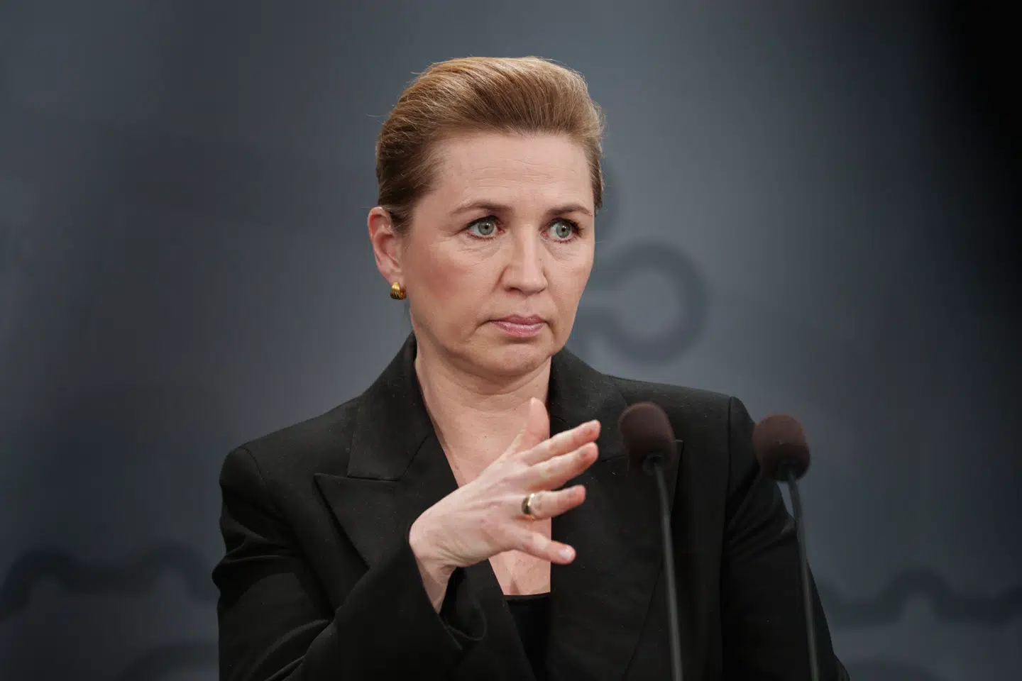 Til stede på dagens pressemøde var både statsminister Mette Frederiksen (S), vicestatsminister og forsvarsminister Troels Lund Poulsen (V), udenrigsminister Lars Løkke Rasmussen (M) og udlændinge- og integrationsminister Rasmus Stoklund (S).