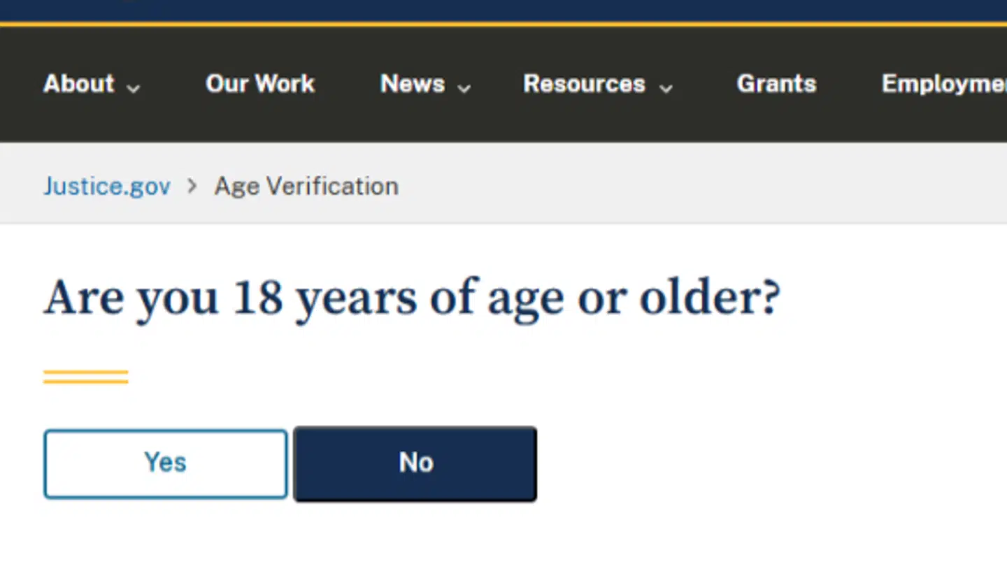 Man skal nu være 18 år for at tilgå Epstein-filerne på justitsministeriets hjemmeside.