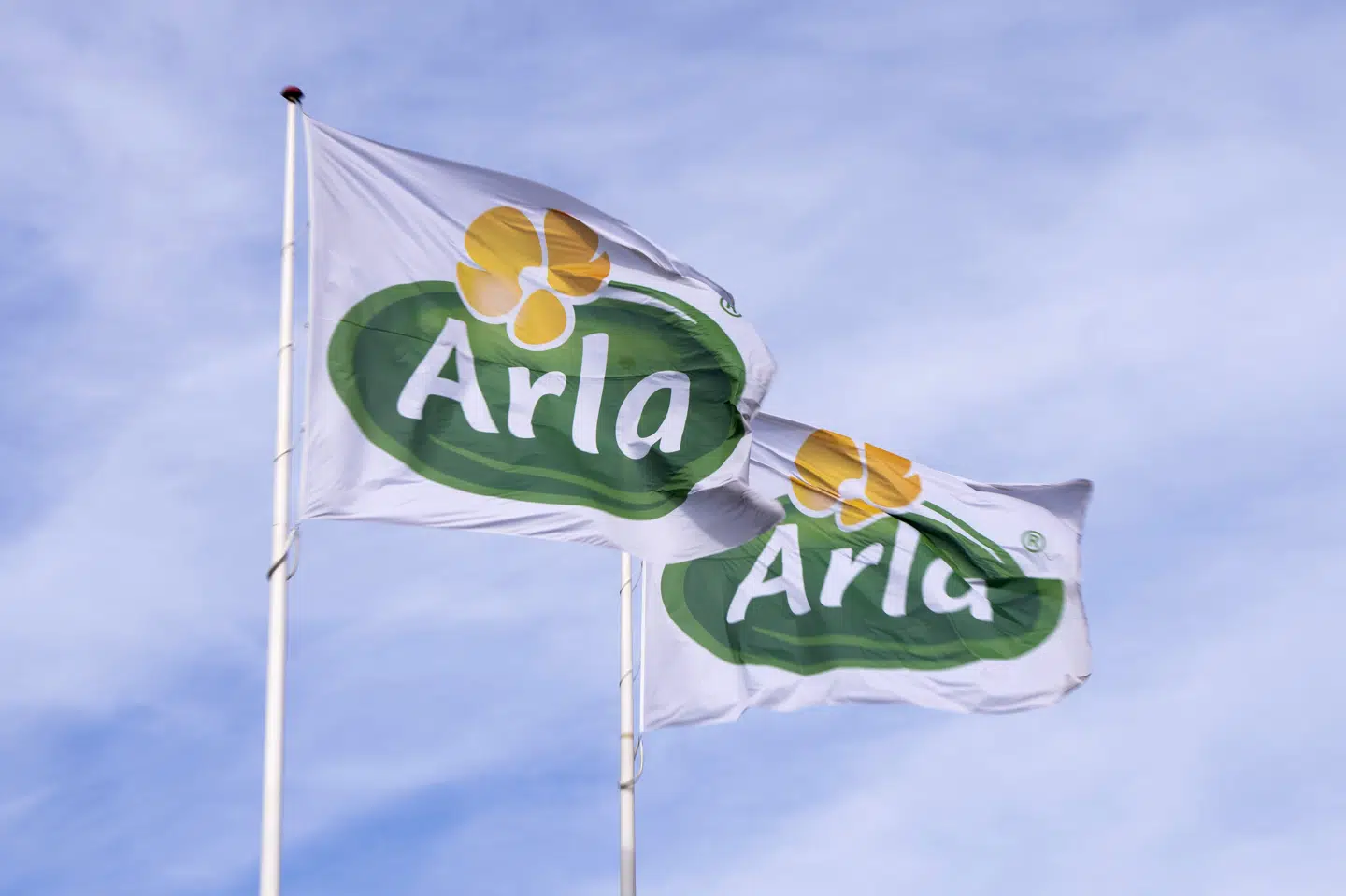 Flag med Arlas logo er fotograferet ved mejerikoncernens hovedkvarter i Viby ved Aarhus. Arlas produkter står til at få pålagt yderligere 9,5 procent told i Kina. (Arkivfoto).