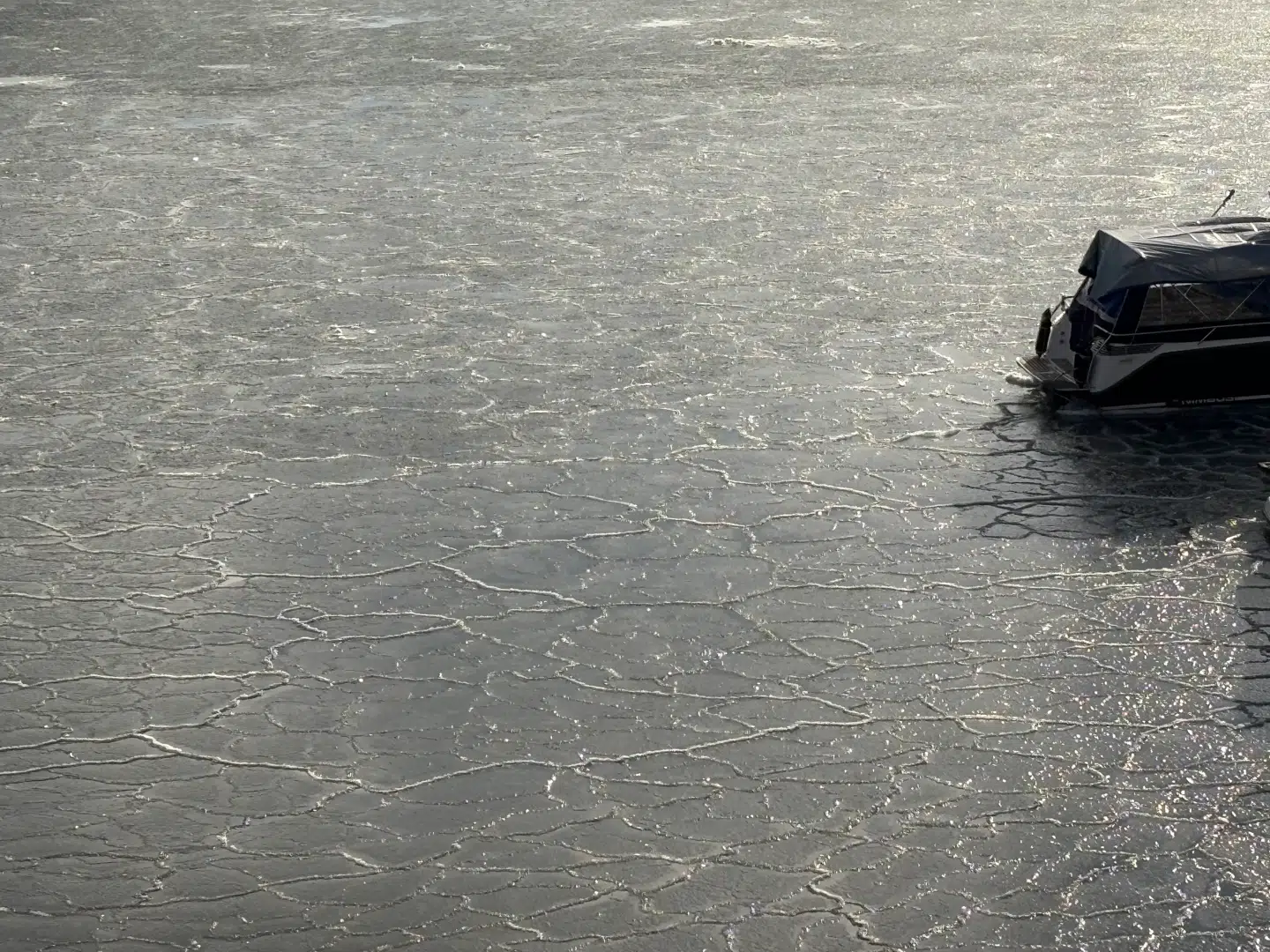 Der er kommet is på vandet i havnen på Sluseholmen i København.
