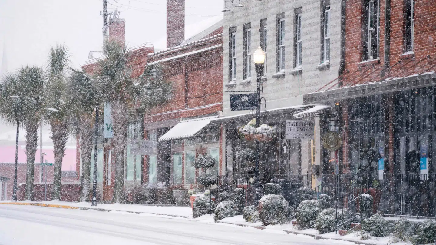 I delstaten South Carolina er der faldet op til 30 centimeter sne.