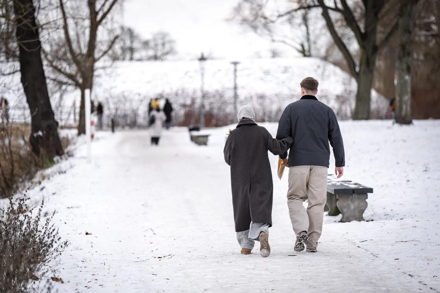 Sne ved Kastellet i København den 9. januar - en måned, som har markeret sig med bidende kulde. (Arkivfoto).