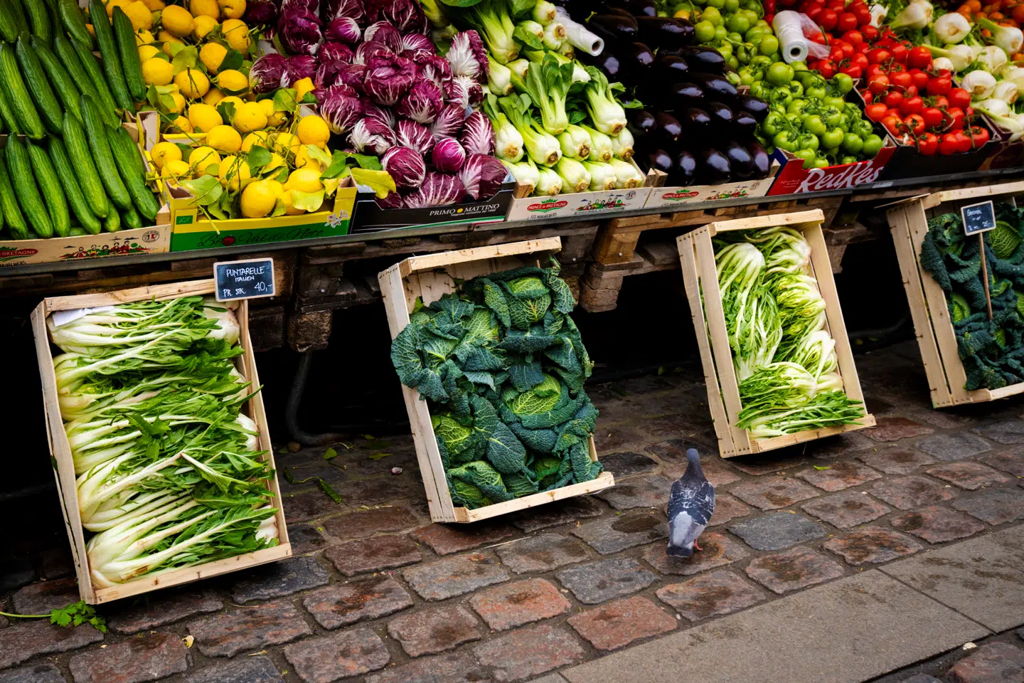 Hvis politikere reelt ønsker at hjælpe borgerne økonomisk og samtidig fremme sundere vaner, findes der mere målrettede og effektive redskaber, skriver Lasse Eg Guldberg.