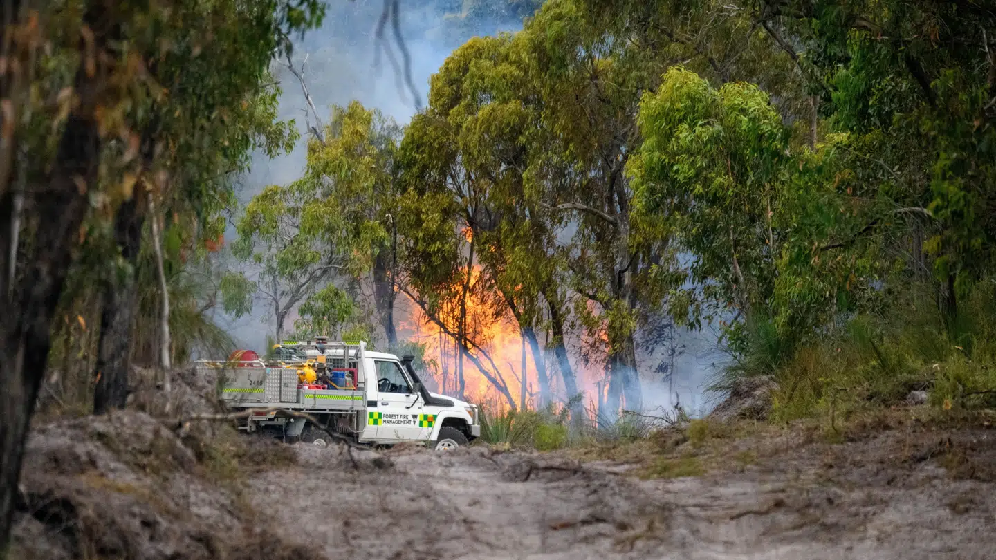 Brandfaren er overhængende i store dele af Australien de kommende dage. Her en mindre skovbrand i Gellibrand sydvest for Melbourne i sidste uge.
