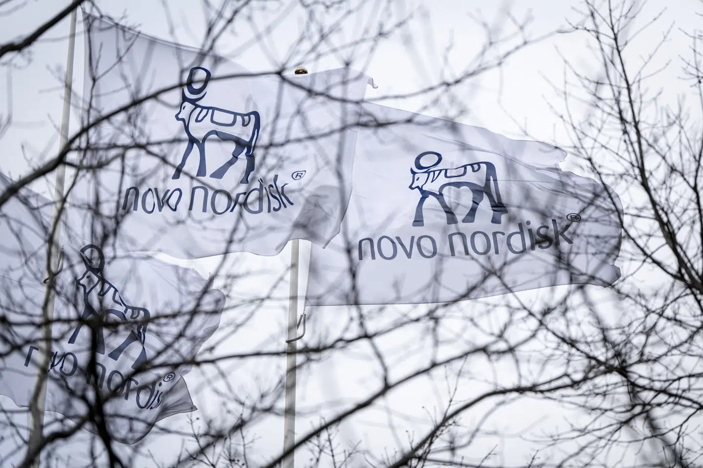 Novo Nordisks hovedkvarter ligger i Bagsværd nord for København. (Arkivfoto).