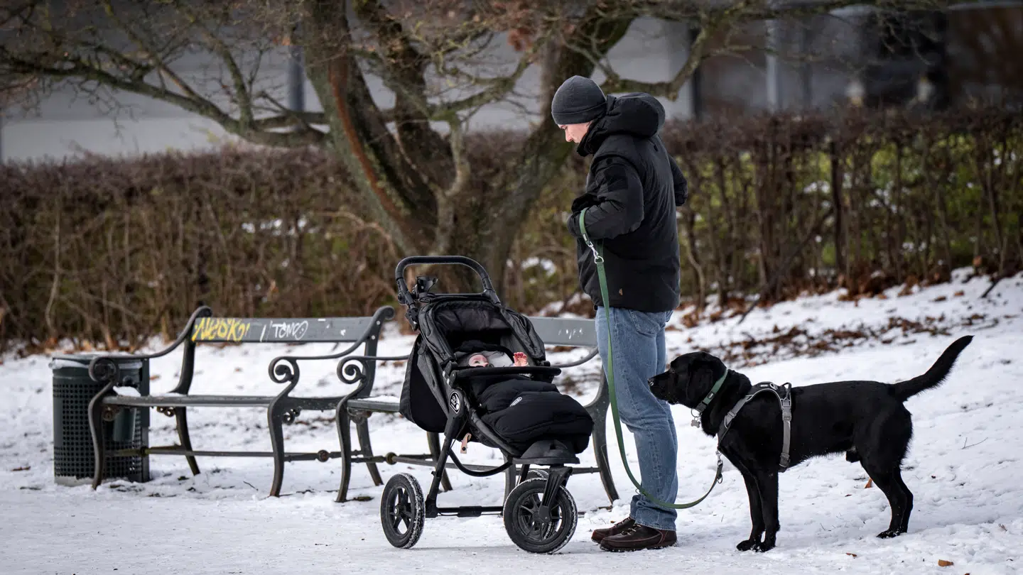 Sne ved Kastellet i København fredag den 9. januar 2026.