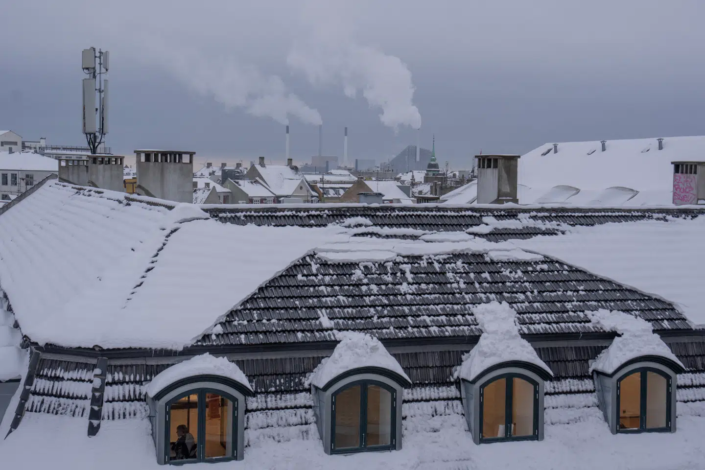 Sneklædte hustage over København 6. februar i år. Nu advarer et stort forskerhold om reel risiko for et langt mere isnende syn over den danske hovedstad og resten af Norden i en relativt nær fremtid.