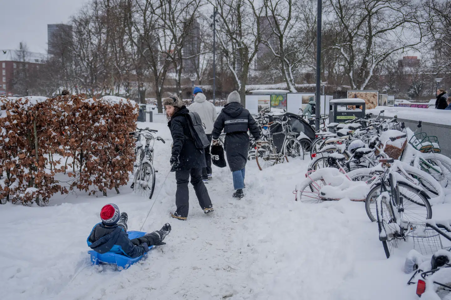 Det er over ti år siden, at det sidst har sneet så meget i Hovedstaden. Berlingske har talt med verdens førende sneforsker, der understreger, at vi bør nyde den, mens vi har den.