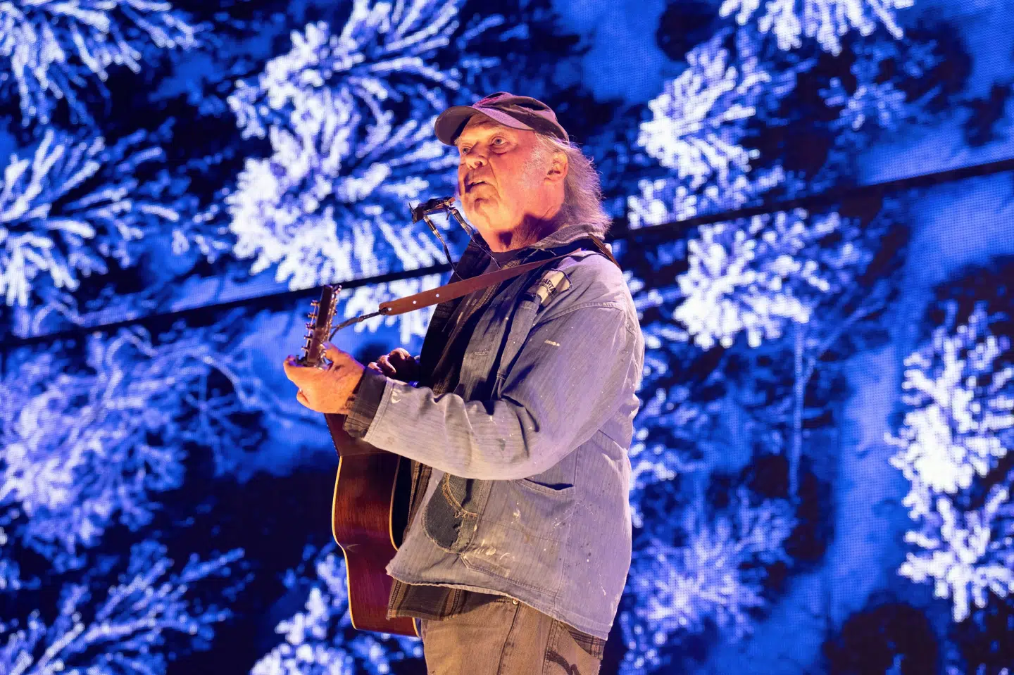 Sangeren Neil Young lægger alligevel ikke vejen forbi Europa til sommer. Han har besluttet at tage en pause, skriver han på sin hjemmeside. (Arkivfoto).