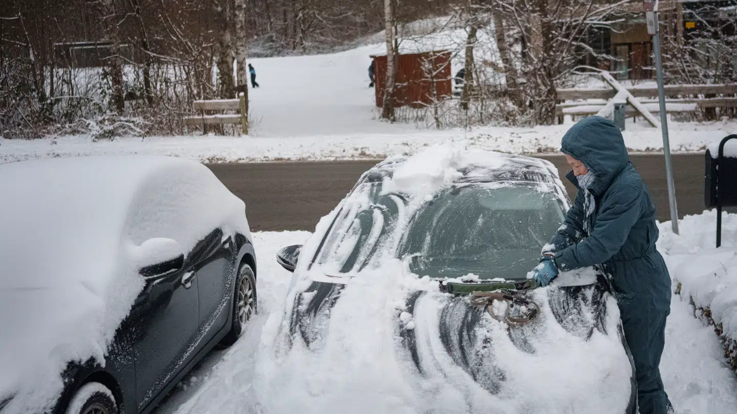 I Hareskoven lidt uden for København var bilisterne i denne uge i gang med at skrabe deres biler fri for sne.