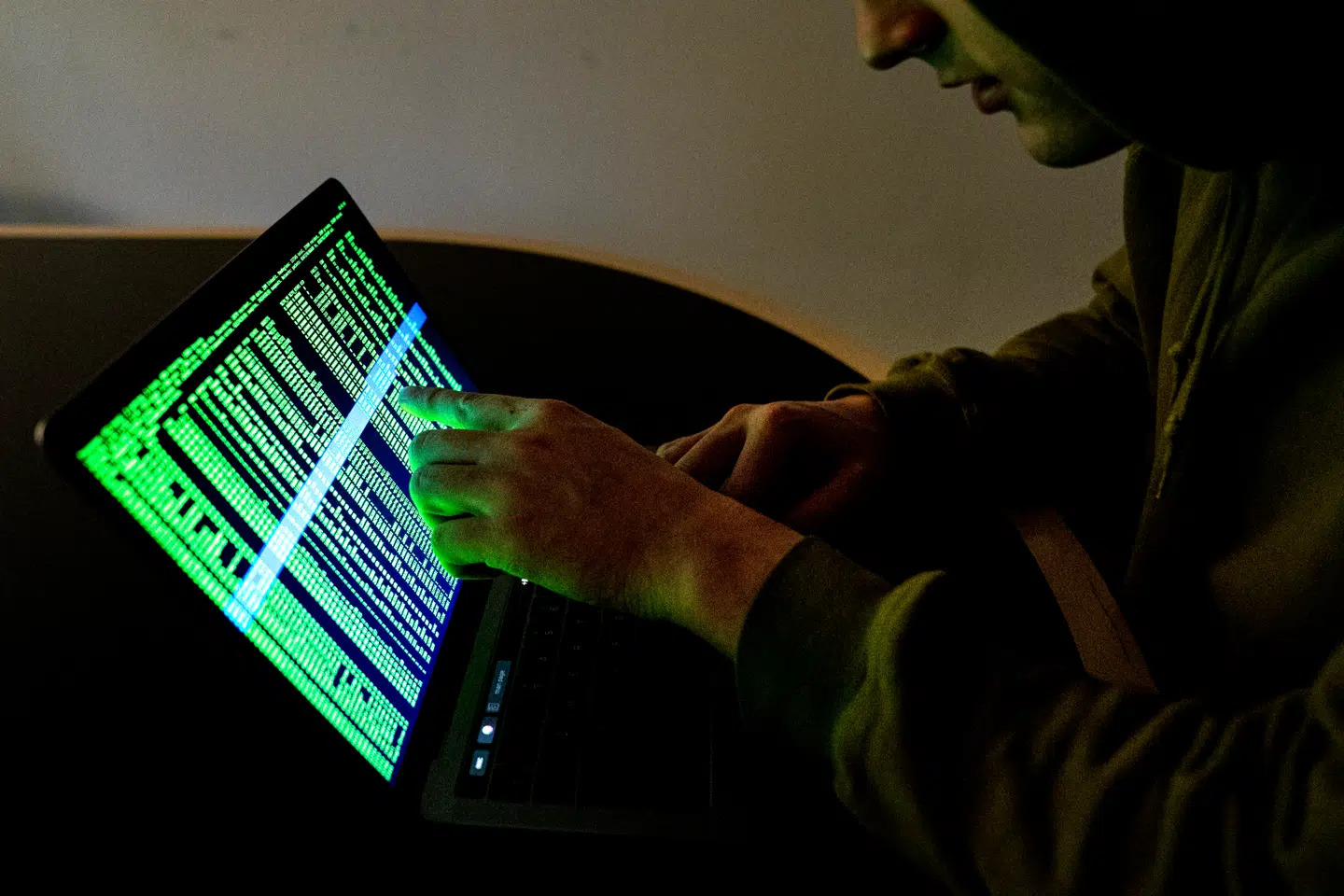 Cyberkriminalitet bliver kun mere og mere udbredt, fortæller to eksperter, der er aktuelle med en ny bog.