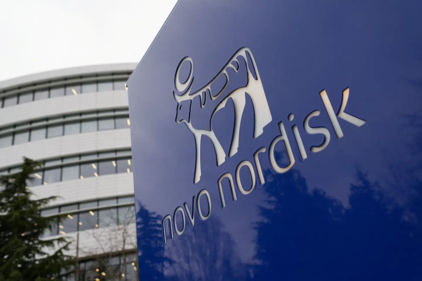 Med udsigten til salget af en Wegovy-kopipille raslede Novo Nordisks aktiekurs ned tidligere på ugen.