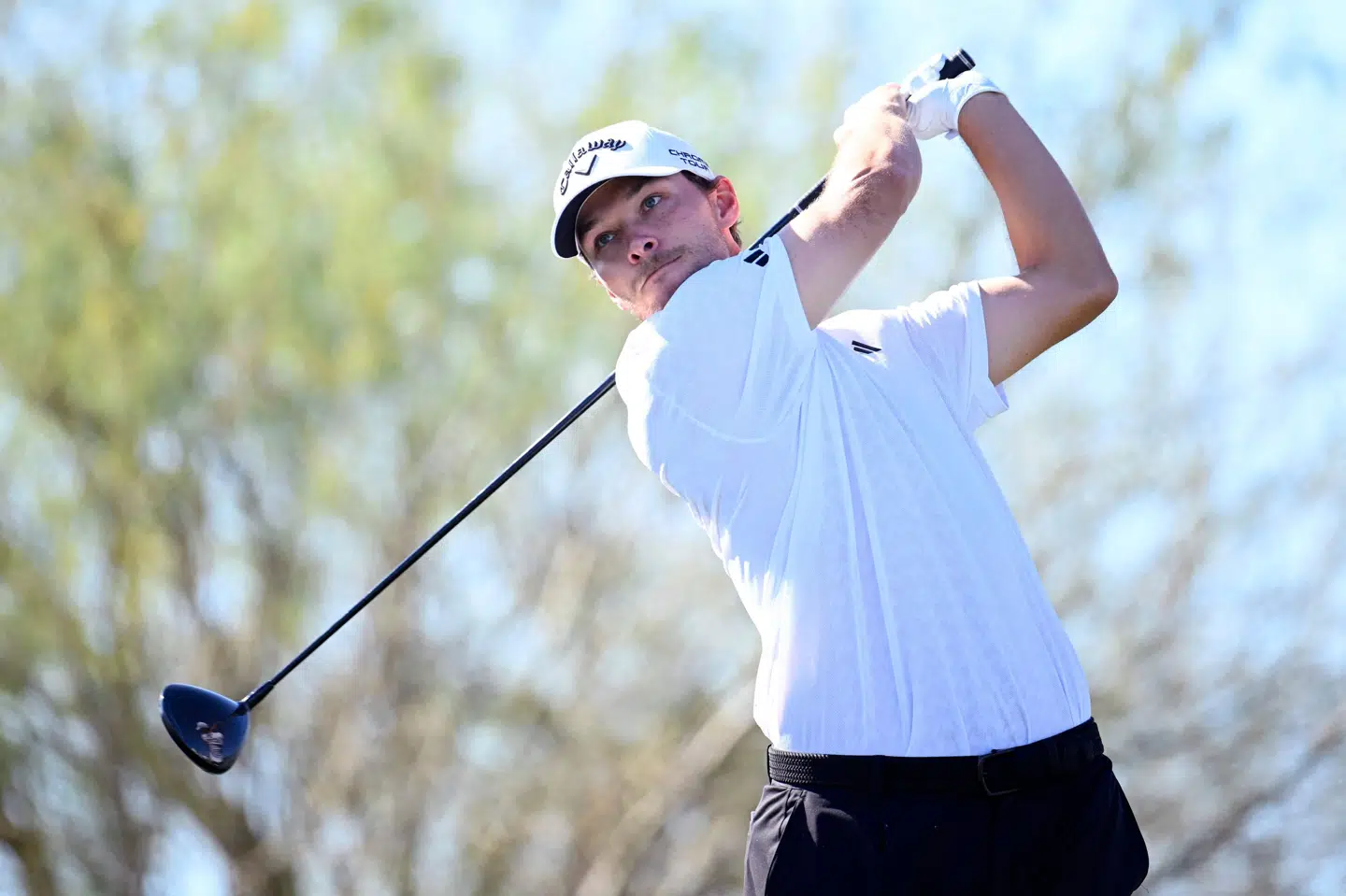 Nicolai Højgaard lavede seks birdies lørdag på en stabil runde uden bogeys. Det sendte danskeren op på andenpladsen i Phoenix Open på PGA Tour. Vinderen kan søndag sikre sig små 11 millioner kroner.